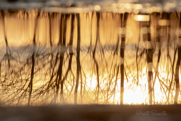Abstraktne veelombi peegeldus